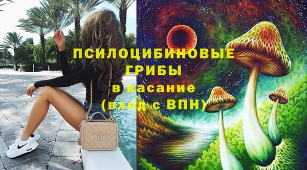 ПСИЛОЦИБИНОВЫЕ ГРИБЫ Лагань